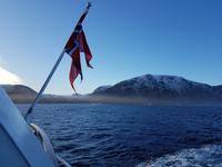Hurtigrute, MS Finnmarken &ndash; &copy; Ria Heilmann (Eberhardt TRAVEL)