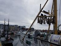 Hurtigrute, Bodo, Yachthafen &ndash; &copy; Ria Heilmann (Eberhardt TRAVEL)
