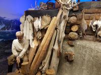 Hurtigrute, Tromsö, Polarmuseum &ndash; &copy; Ria Heilmann (Eberhardt TRAVEL)