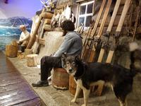 Hurtigrute, Tromsö, Polarmuseum &ndash; &copy; Ria Heilmann (Eberhardt TRAVEL)