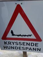 Hurtigrute, Kirkenes, Hundeschlittenstation &ndash; &copy; Ria Heilmann (Eberhardt TRAVEL)