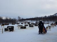 Hurtigrute, Kirkenes, Hundeschlittenstation &ndash; &copy; Ria Heilmann (Eberhardt TRAVEL)