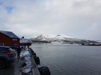 Hurtigrute, Stokmarknes &ndash; &copy; Ria Heilmann (Eberhardt TRAVEL)