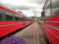 Bergenbahn &ndash; &copy; Konrad Füssel (Eberhardt TRAVEL)