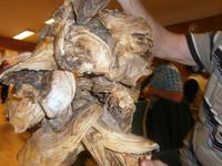 Stockfischköpfe &ndash; &copy; Gabriele Schwarze (Eberhardt TRAVEL)