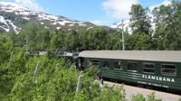 Flam - Fahrt mit der Flambahn &ndash; &copy; Annette Weise (Eberhardt TRAVEL)