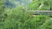 Flam - Fahrt mit der Flambahn &ndash; &copy; Annette Weise (Eberhardt TRAVEL)