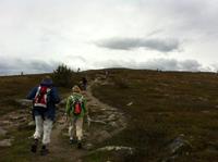 Auf dem Weg zum Nevrefjell &ndash; &copy; Steffen Hausdorf (Eberhardt TRAVEL)