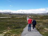 bei Hjerkinn &ndash; &copy; Dirk Schlosser (Eberhardt TRAVEL)
