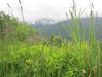 Reiche Flora &ndash; &copy; Anne Sturm (Eberhardt TRAVEL)