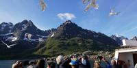 Möwen zum Anfüttern &ndash; &copy; Norbert Birner (Eberhardt TRAVEL)
