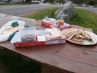 Picknick am Fjord &ndash; &copy; Ingrid Langer (Eberhardt TRAVEL)