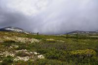188 Dovrefjell &ndash; &copy; Konrad Füssel (Eberhardt TRAVEL)