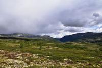 189 Dovrefjell &ndash; &copy; Konrad Füssel (Eberhardt TRAVEL)