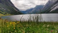 380 Kjosnesfjord &ndash; &copy; Konrad Füssel (Eberhardt TRAVEL)