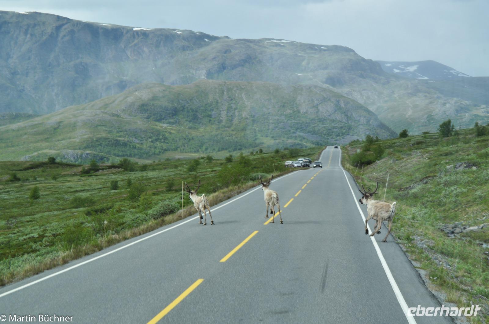 Panoramastraßen Norwegen-84 &ndash; &copy; Martin Büchner (Eberhardt TRAVEL)