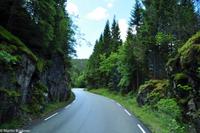 Panoramastraßen Norwegen-47 &ndash; &copy; Martin Büchner (Eberhardt TRAVEL)
