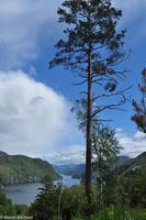 Panoramastraßen Norwegen-50 &ndash; &copy; Martin Büchner (Eberhardt TRAVEL)