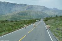 Panoramastraßen Norwegen-84 &ndash; &copy; Martin Büchner (Eberhardt TRAVEL)