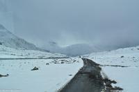 Panoramastraßen Norwegen-98 &ndash; &copy; Martin Büchner (Eberhardt TRAVEL)