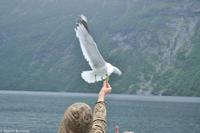 Panoramastraßen Norwegen-121 &ndash; &copy; Martin Büchner (Eberhardt TRAVEL)