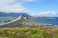 Panoramastraßen Norwegen-237 &ndash; &copy; Martin Büchner (Eberhardt TRAVEL)