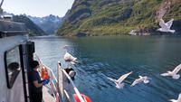 252 Lofoten, Adlersafari, Einfahrt in den Trollfjord &ndash; &copy; Konrad Füssel (Eberhardt TRAVEL)