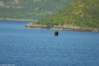 Hurtigruten - Polarlys-245 &ndash; &copy; Martin Büchner (Eberhardt TRAVEL)