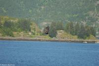 Hurtigruten - Polarlys-247 &ndash; &copy; Martin Büchner (Eberhardt TRAVEL)