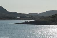 Hurtigruten - Polarlys-310 &ndash; &copy; Martin Büchner (Eberhardt TRAVEL)