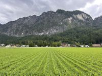 Hier fährt die Untersberg Seilbahn hoch  &ndash; &copy; Carola Gastmeier (Eberhardt TRAVEL)