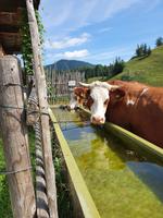 2. Etappe vom Tegernsee zum Achensee &ndash; &copy; Ria Heilmann (Eberhardt TRAVEL)