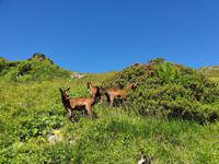 5.Etappe von Hochfügen nach Mayrhofen &ndash; &copy; Ria Heilmann (Eberhardt TRAVEL)