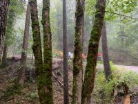 032 2. Etappe von Kreuth nach Achenkirch &ndash; &copy; Patrick Fritzsche (Eberhardt TRAVEL)