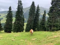 098 4. Etappe vom Spieljoch nach Hochfügen &ndash; &copy; Patrick Fritzsche (Eberhardt TRAVEL)