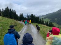 101 4. Etappe vom Spieljoch nach Hochfügen &ndash; &copy; Patrick Fritzsche (Eberhardt TRAVEL)