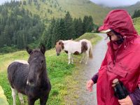 102 4. Etappe vom Spieljoch nach Hochfügen &ndash; &copy; Patrick Fritzsche (Eberhardt TRAVEL)