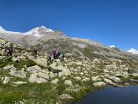 211 Aufstieg zum Pfitscherjoch &ndash; &copy; Patrick Fritzsche (Eberhardt TRAVEL)