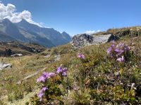 227 Abstieg ins Pfitschtal &ndash; &copy; Patrick Fritzsche (Eberhardt TRAVEL)