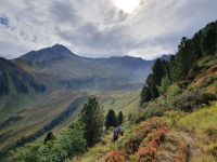 Weg zur Edelhütte &ndash; &copy; Ria Heilmann (Eberhardt TRAVEL)
