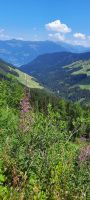Zillertal &ndash; &copy; Betina Marinow (Eberhardt TRAVEL)