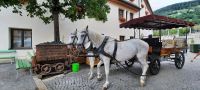 &copy; Betina Marinow (Eberhardt TRAVEL)