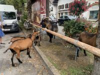 &copy; Patrick Fritzsche (Eberhardt TRAVEL)