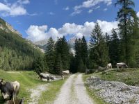 &copy; Patrick Fritzsche (Eberhardt TRAVEL)