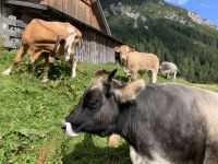 &copy; Patrick Fritzsche (Eberhardt TRAVEL)