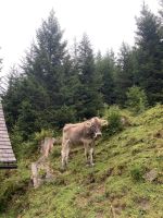 &copy; Patrick Fritzsche (Eberhardt TRAVEL)