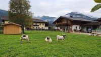 Achenkirch &ndash; &copy; Ria Heilmann (Eberhardt TRAVEL)