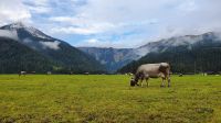 Achenkirch &ndash; &copy; Ria Heilmann (Eberhardt TRAVEL)