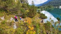 Gaisalmsteig am Achensee &ndash; &copy; Ria Heilmann (Eberhardt TRAVEL)