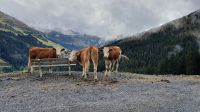Wanderung nach Hochfügen &ndash; &copy; Ria Heilmann (Eberhardt TRAVEL)